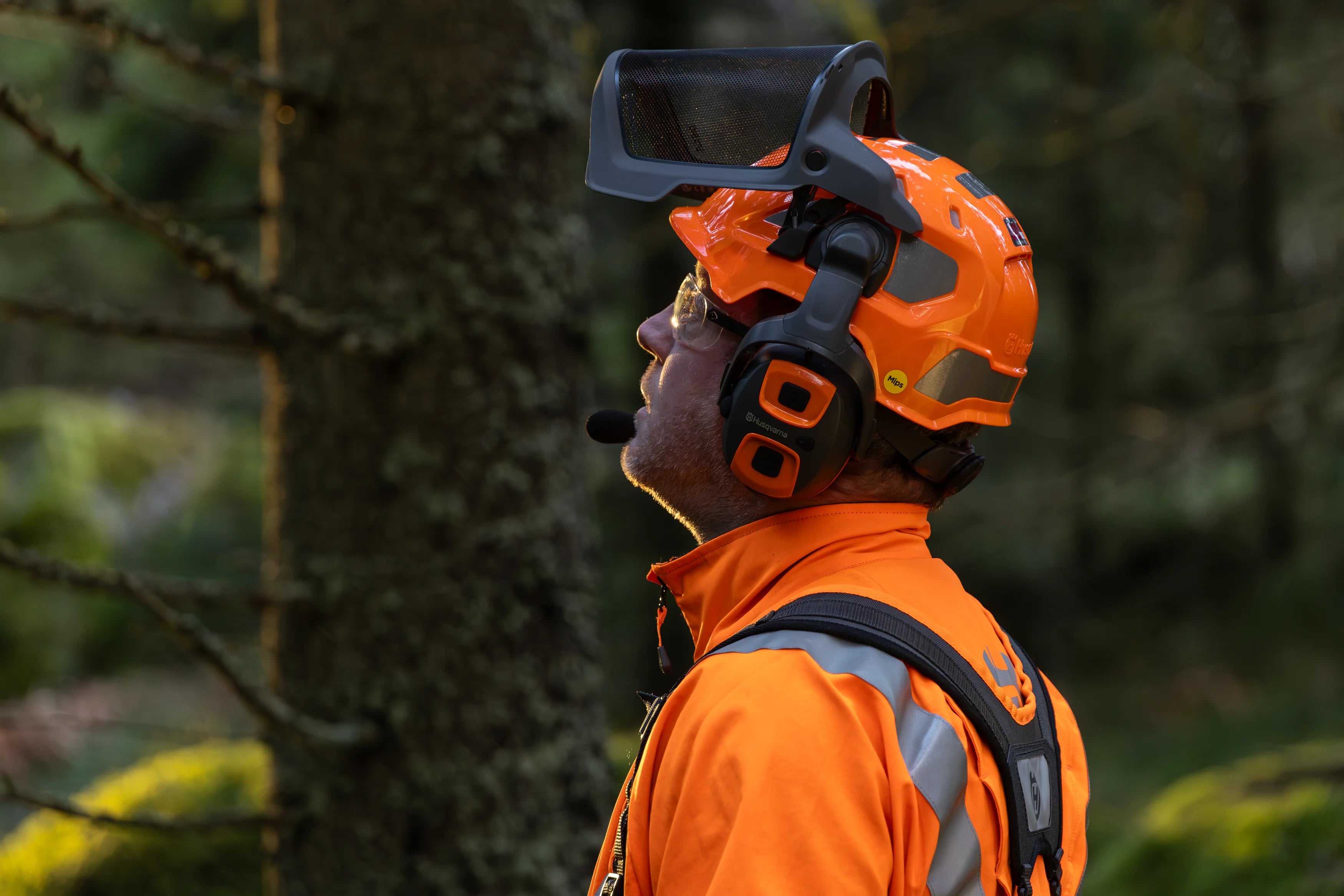 Forsthelm Technical Mips®