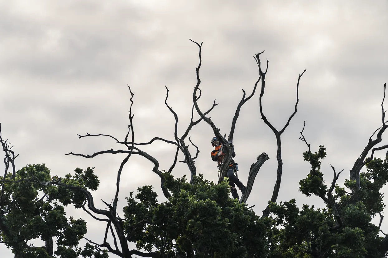 Kettensäge T540i XP® G (14")