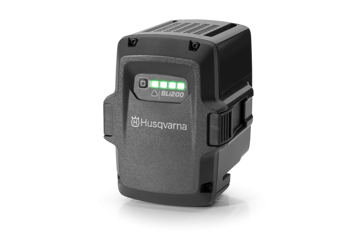 Akku BLi200 - 5 Ah / 180 Wh