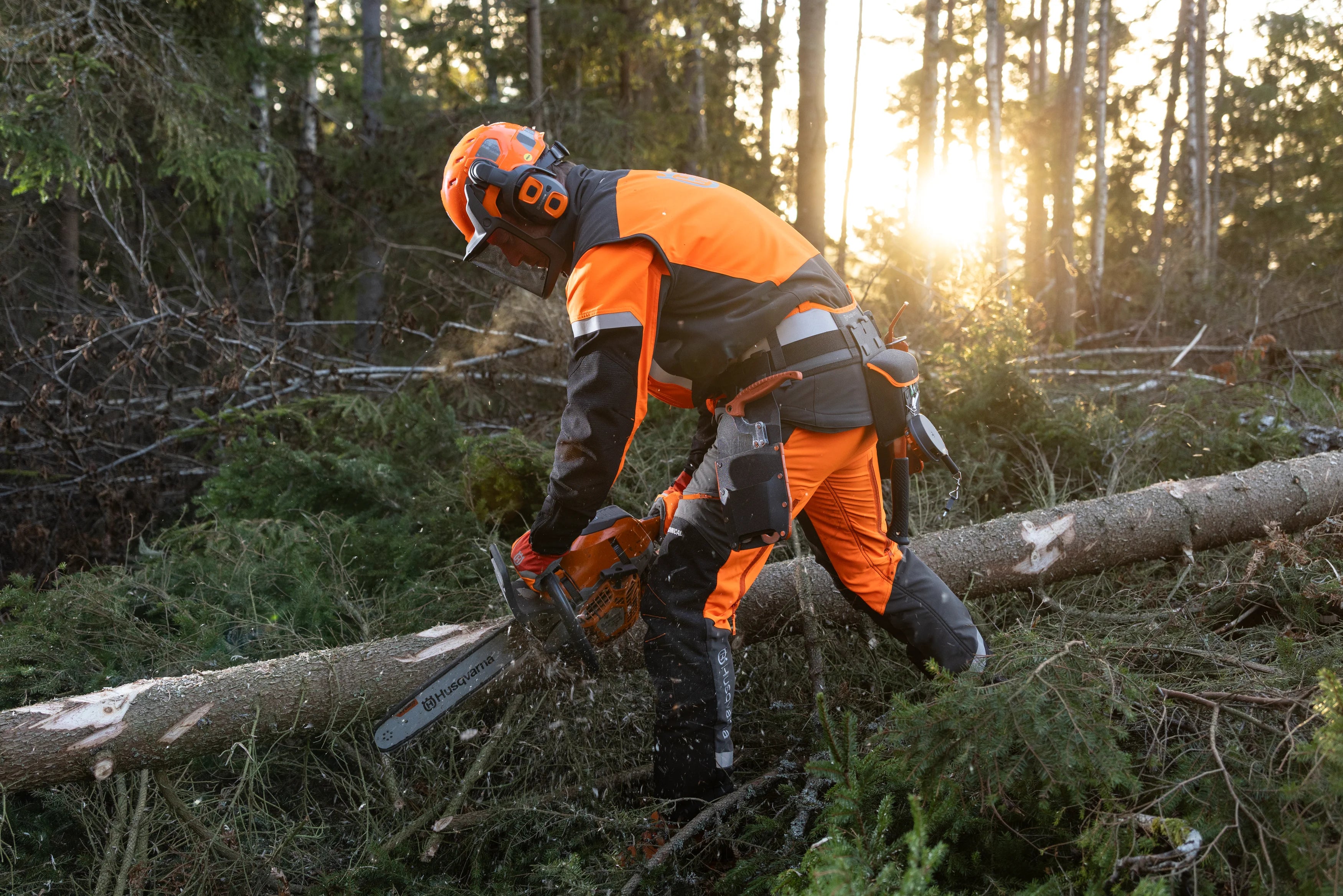 Forsthelm Technical Mips®