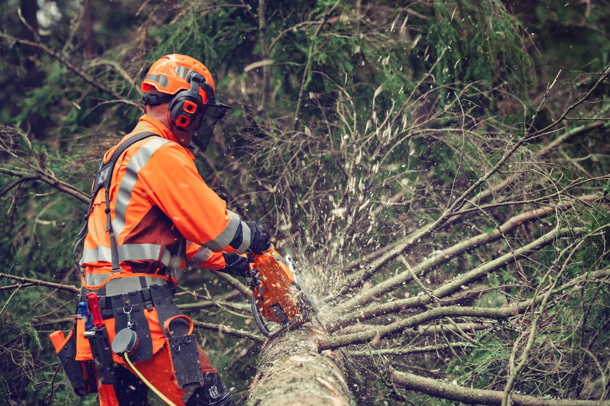 Kettensäge 564 XP® Fuel Inject (18")